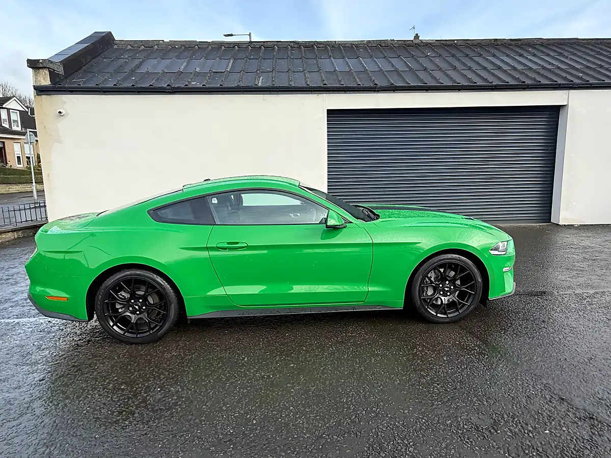 Used 2019 Ford Mustang Fastback Green - Interior and Exterior details 2