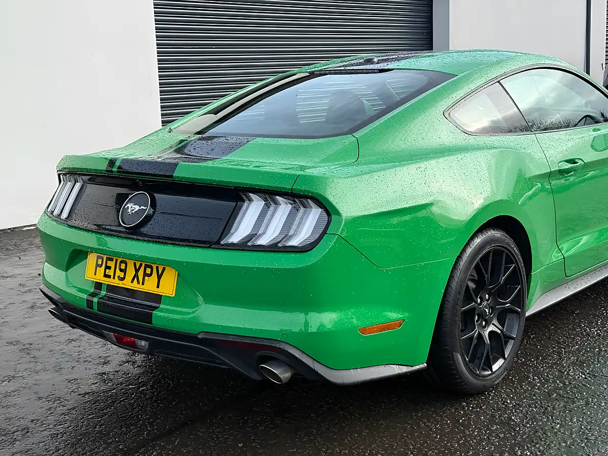 Used 2019 Ford Mustang Fastback Green - Interior and Exterior details 4