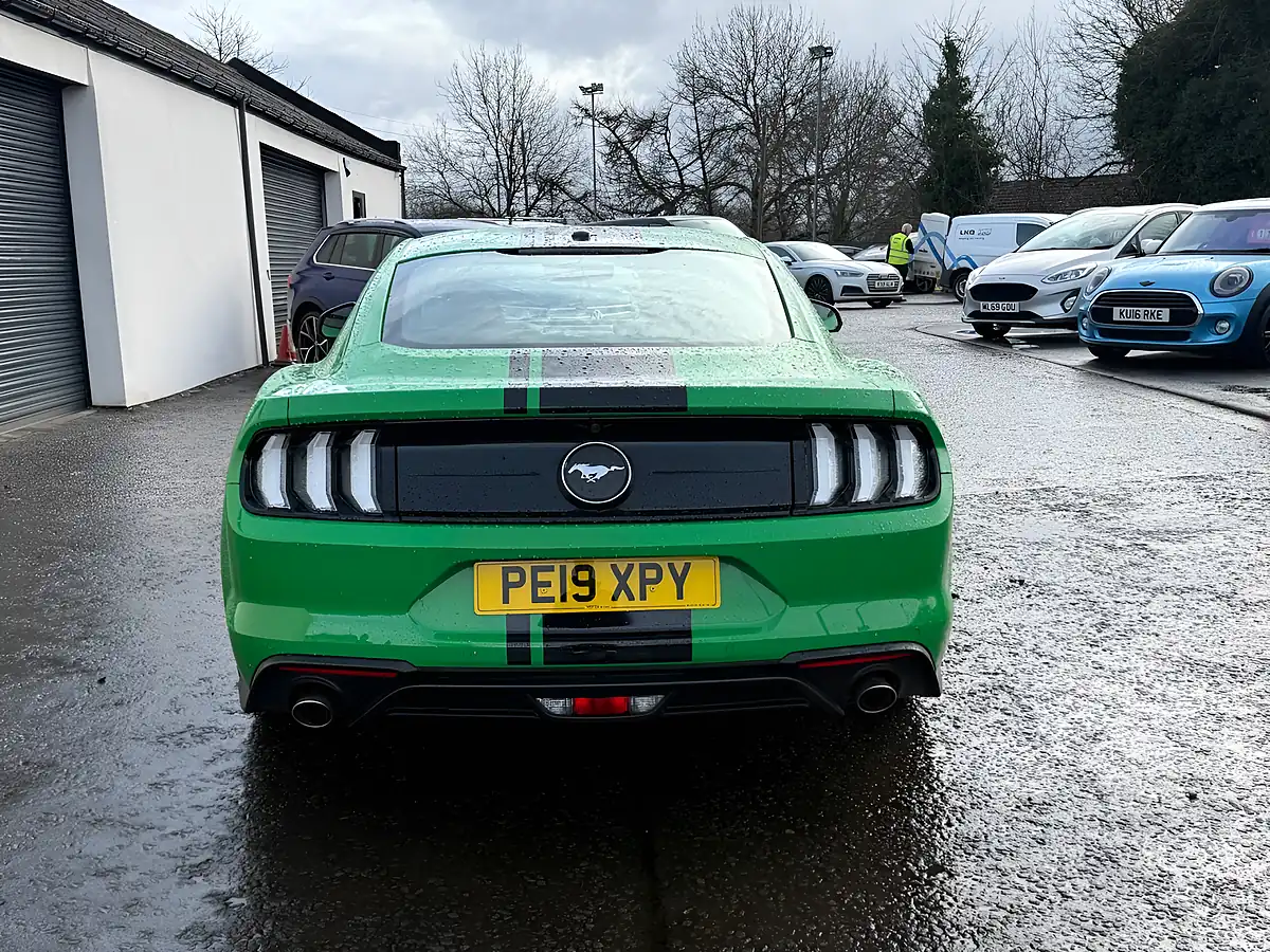 Used 2019 Ford Mustang Fastback Green - Interior and Exterior details 5