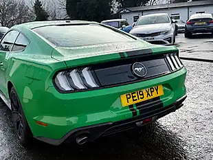 Used 2019 Ford Mustang Fastback Green - Interior and Exterior details 6
