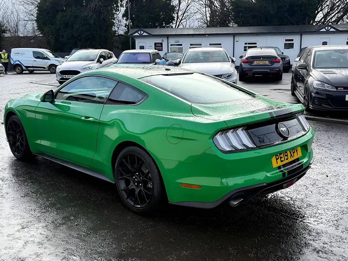Used 2019 Ford Mustang Fastback Green - Interior and Exterior details 7