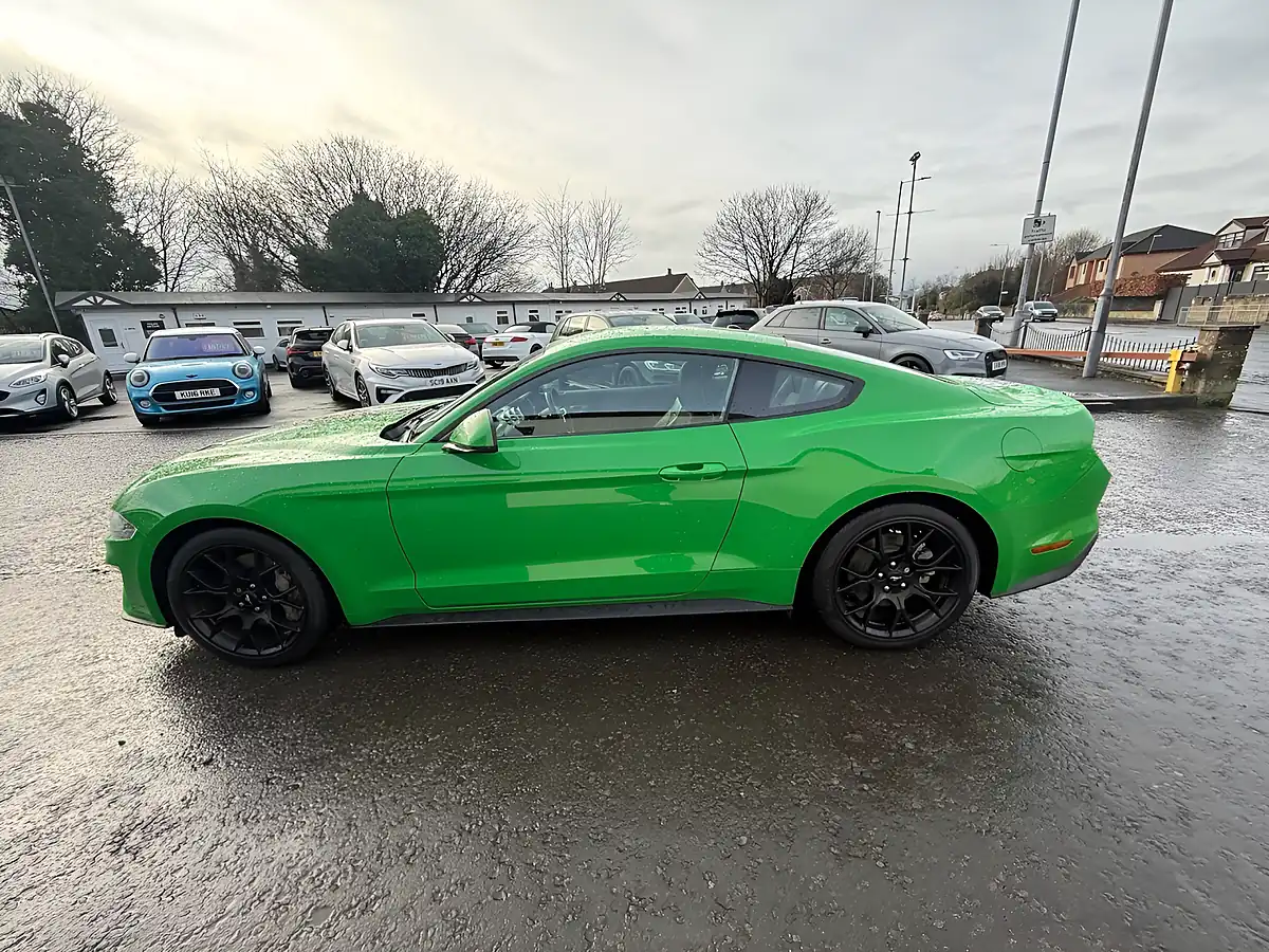 Used 2019 Ford Mustang Fastback Green - Interior and Exterior details 8
