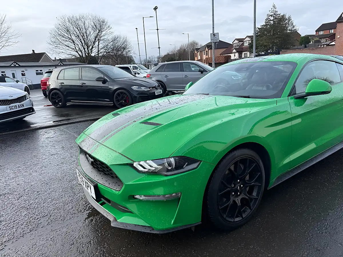 Used 2019 Ford Mustang Fastback Green - Interior and Exterior details 9