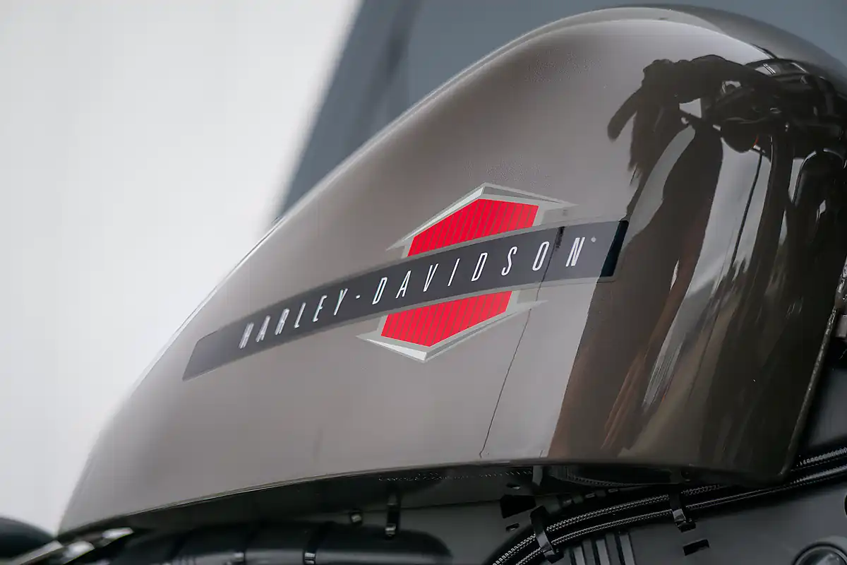 Used 2019 Harley-Davidson Forty-Eight Sportster Industrial Grey - Interior and Exterior details 11