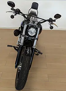Used 2019 Harley-Davidson Softail Fxlr Low Rider Black - Interior and Exterior details 11
