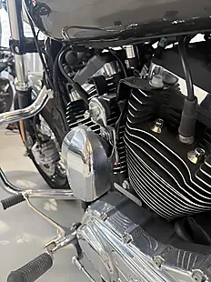 Used 2019 Harley-Davidson Sportster Custom Silver - Interior and Exterior details 13