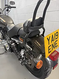 Used 2019 Harley-Davidson Sportster Custom Silver - Interior and Exterior details 15