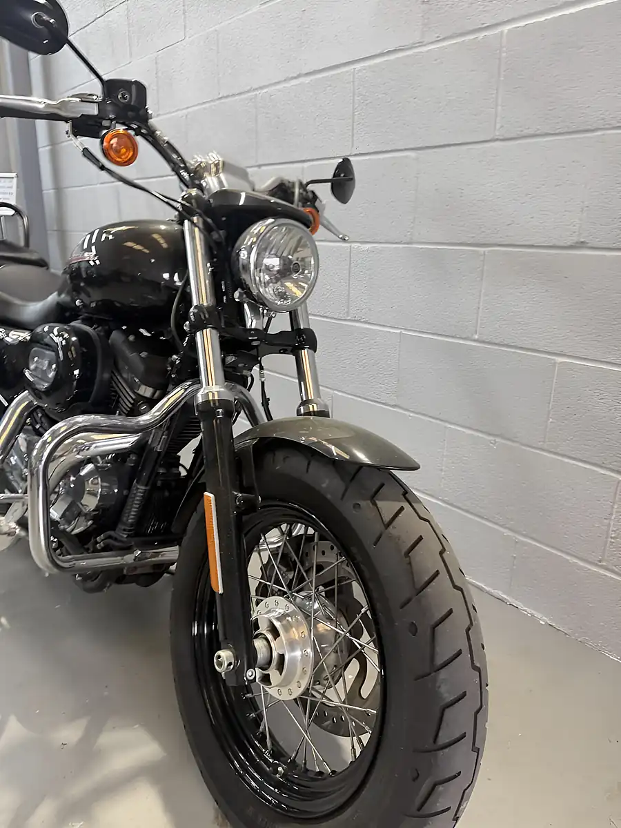 Used 2019 Harley-Davidson Sportster Custom Silver - Interior and Exterior details 6