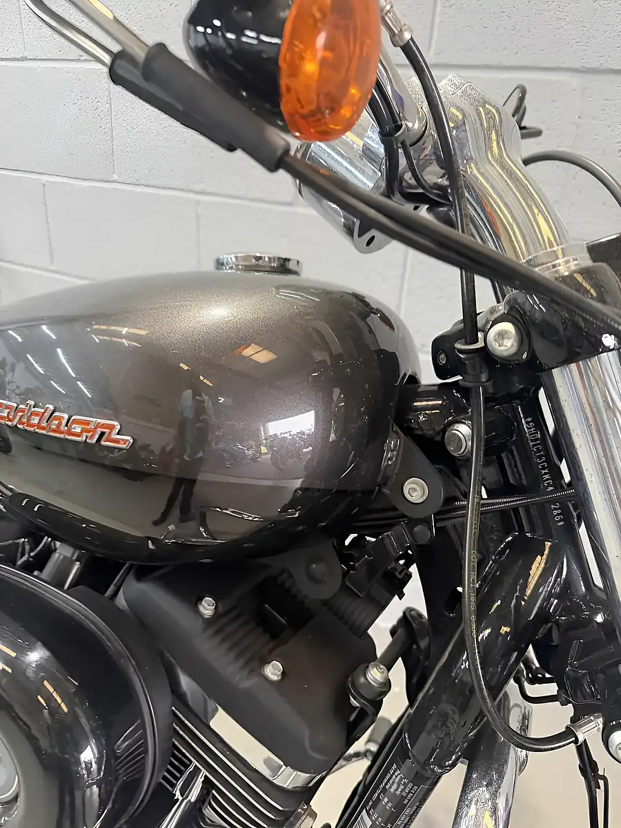 Used 2019 Harley-Davidson Sportster Custom Silver - Interior and Exterior details 8