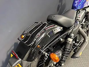 Used 2019 Harley-Davidson Sportster - Interior and Exterior details 12