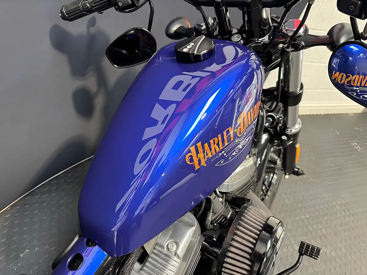 Used 2019 Harley-Davidson Sportster - Interior and Exterior details 13