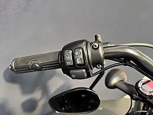 Used 2019 Harley-Davidson Sportster - Interior and Exterior details 14