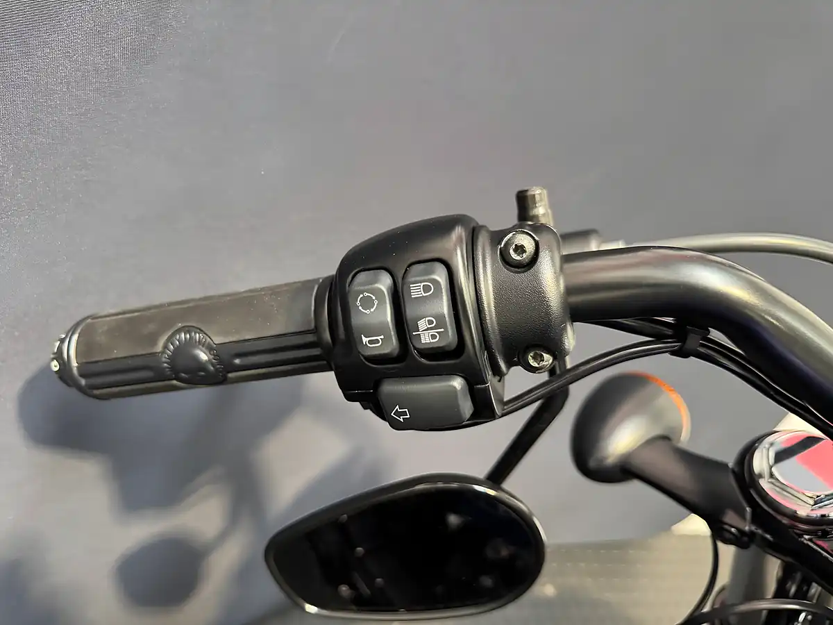 Used 2019 Harley-Davidson Sportster - Interior and Exterior details 14