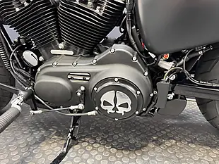 Used 2019 Harley-Davidson Sportster - Interior and Exterior details 17
