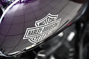 Used 2019 Harley-Davidson Sportster XL1200C Custom Purple - Interior and Exterior details 10