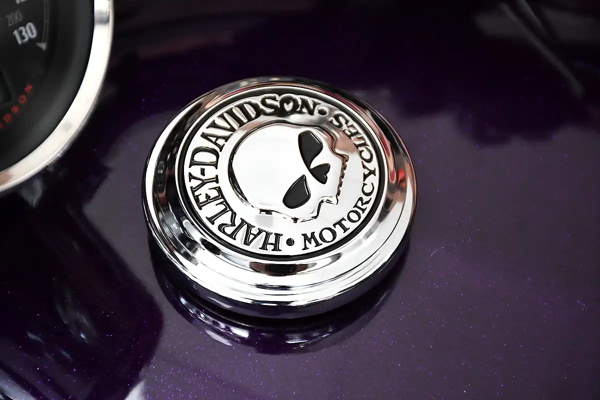 Used 2019 Harley-Davidson Sportster XL1200C Custom Purple - Interior and Exterior details 15