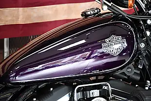Used 2019 Harley-Davidson Sportster XL1200C Custom Purple - Interior and Exterior details 2