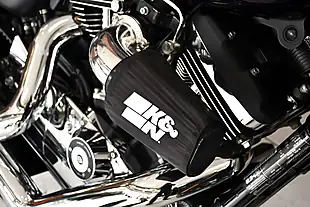 Used 2019 Harley-Davidson Sportster XL1200C Custom Purple - Interior and Exterior details 3