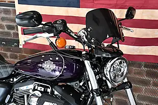 Used 2019 Harley-Davidson Sportster XL1200C Custom Purple - Interior and Exterior details 4