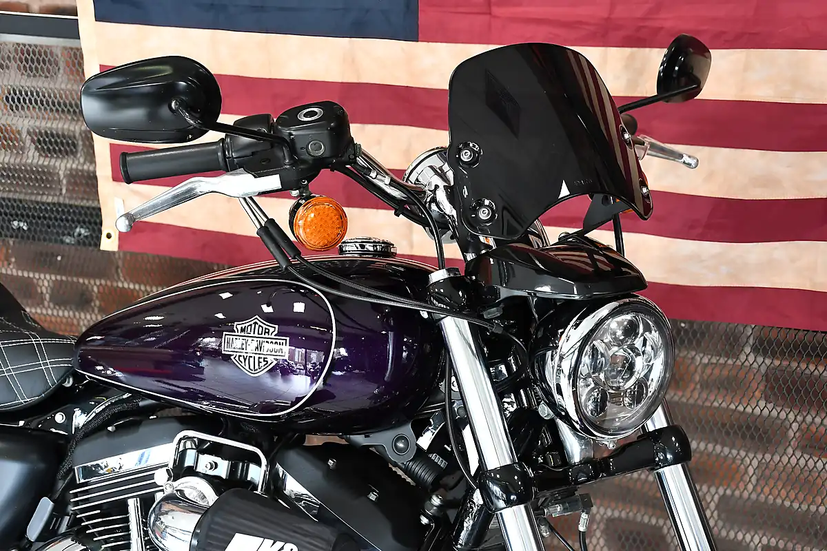 Used 2019 Harley-Davidson Sportster XL1200C Custom Purple - Interior and Exterior details 4
