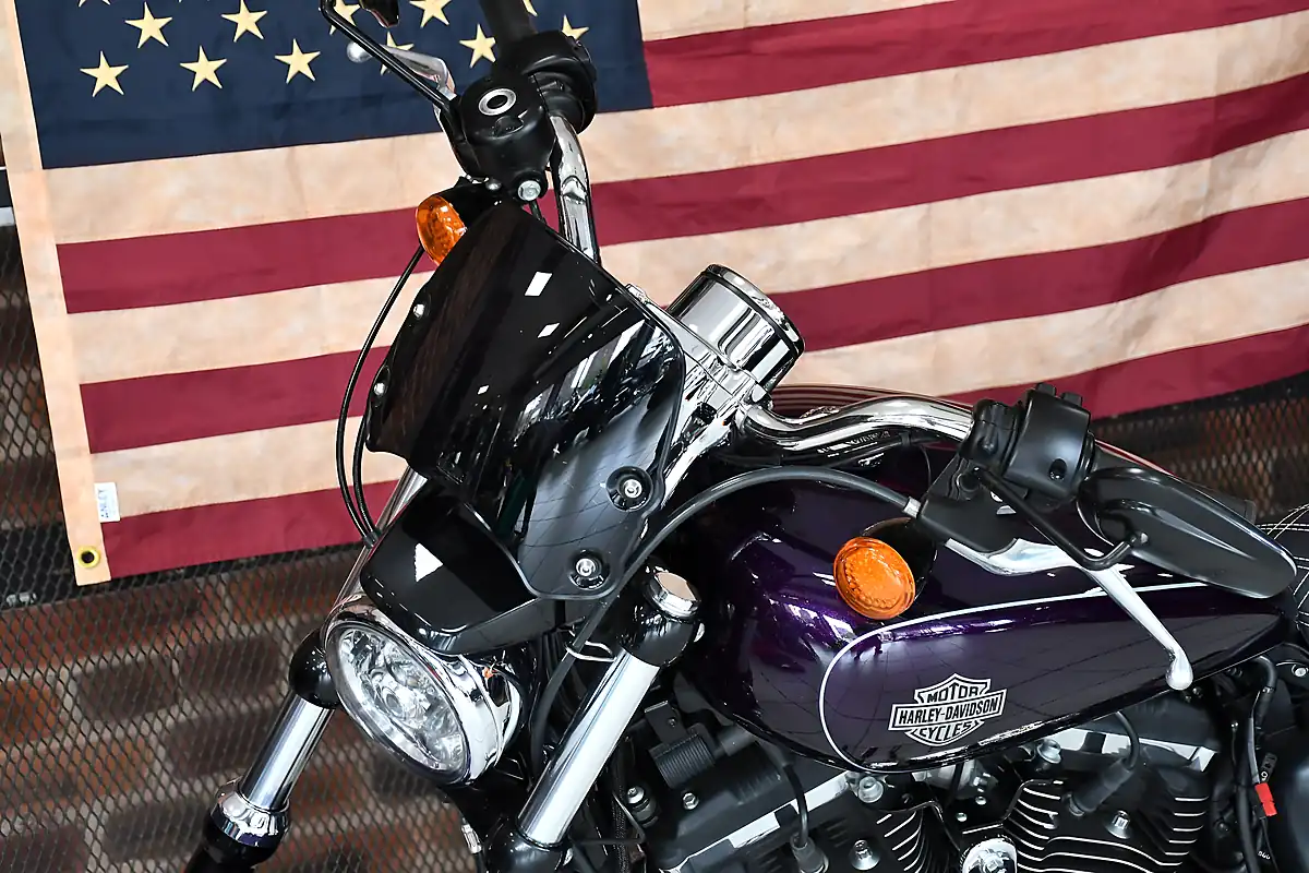 Used 2019 Harley-Davidson Sportster XL1200C Custom Purple - Interior and Exterior details 9