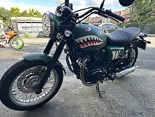 Used 2019 Kawasaki W800 Classic Ej Green - Interior and Exterior details 14