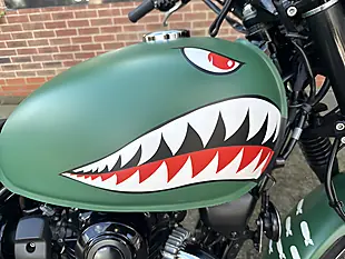 Used 2019 Kawasaki W800 Classic Ej Green - Interior and Exterior details 5