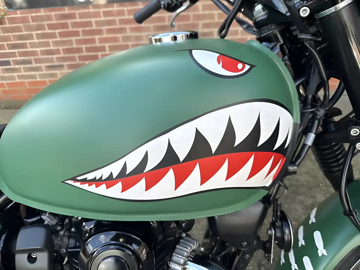 Used 2019 Kawasaki W800 Classic Ej Green - Interior and Exterior details 5
