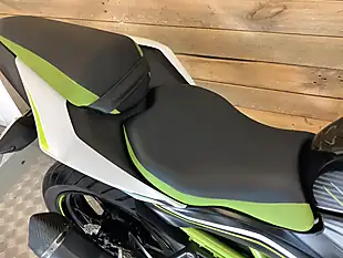 Used 2019 Kawasaki Z Supernaked Black - Interior and Exterior details 10