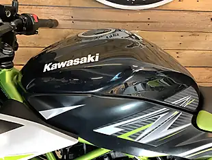 Used 2019 Kawasaki Z Supernaked Black - Interior and Exterior details 12