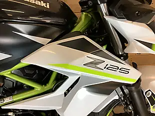 Used 2019 Kawasaki Z Supernaked Black - Interior and Exterior details 13