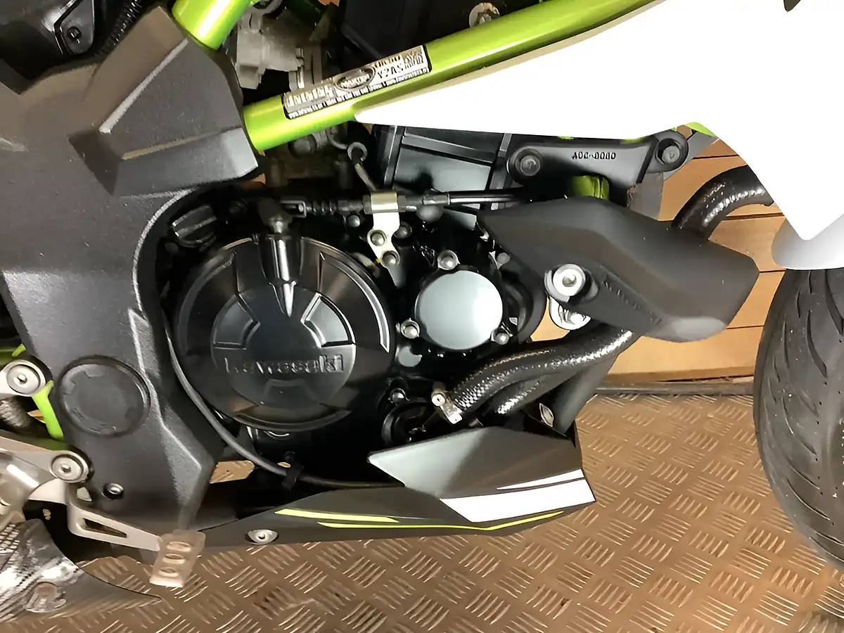 Used 2019 Kawasaki Z Supernaked Black - Interior and Exterior details 17