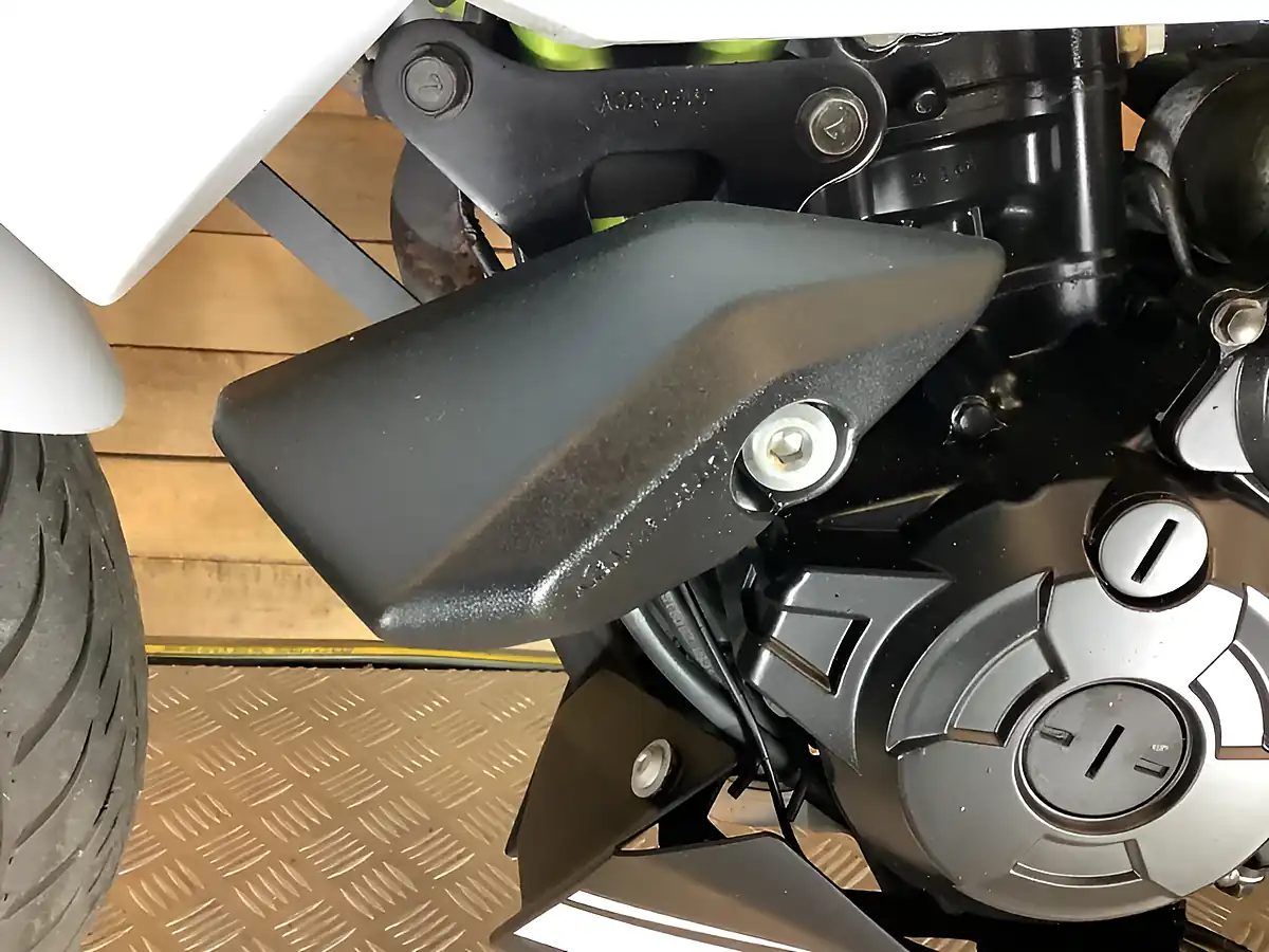 Used 2019 Kawasaki Z Supernaked Black - Interior and Exterior details 9