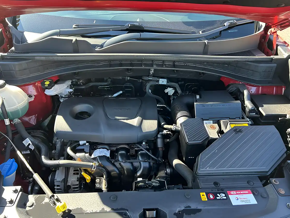 Used 2019 Kia Sportage Edition 25 Red - Interior and Exterior details 17