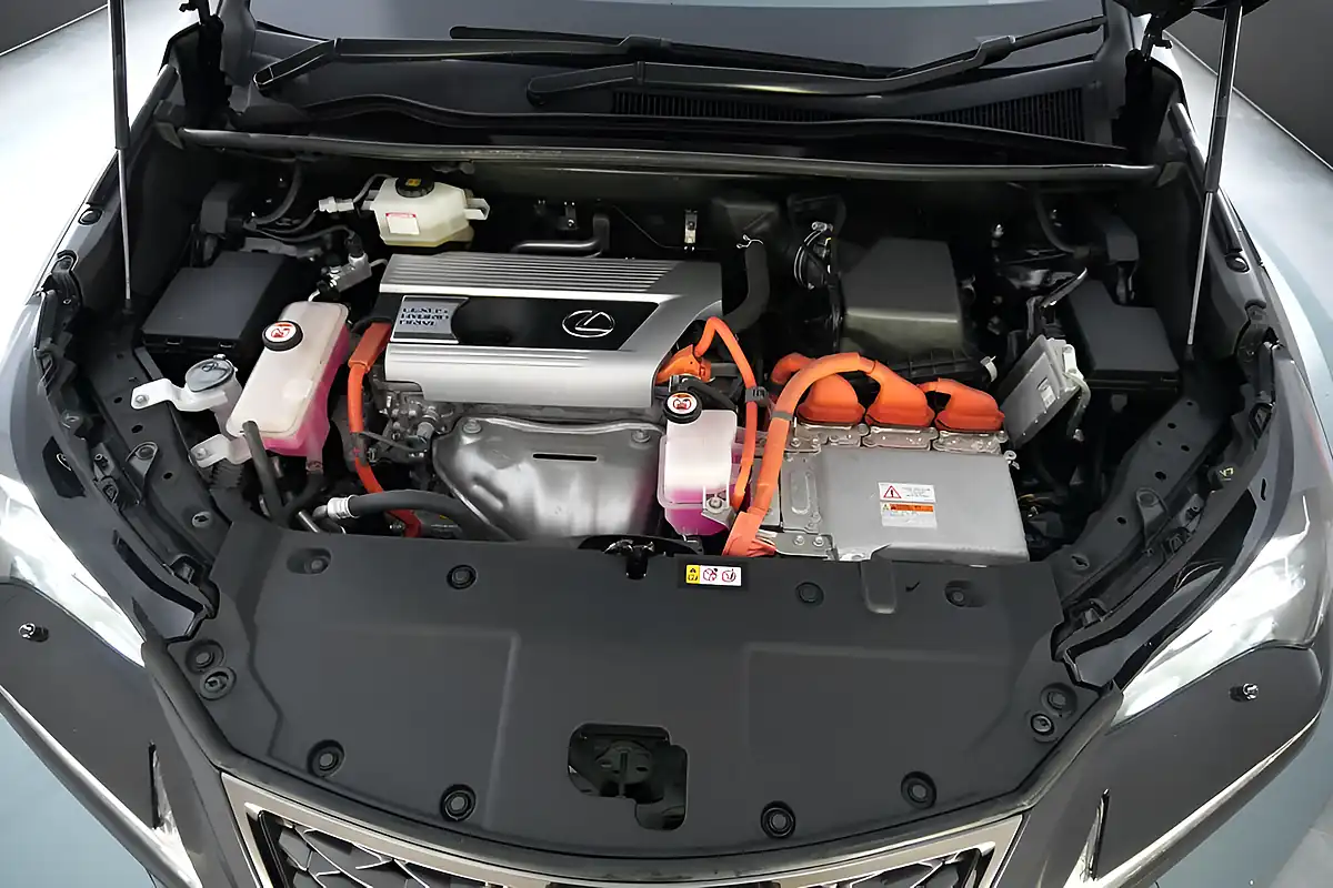 Used 2019 Lexus Nx F Sport Black - Interior and Exterior details 14