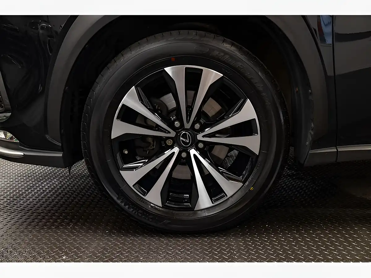 Used 2019 Lexus Nx F Sport Velvet Black - Interior and Exterior details 9