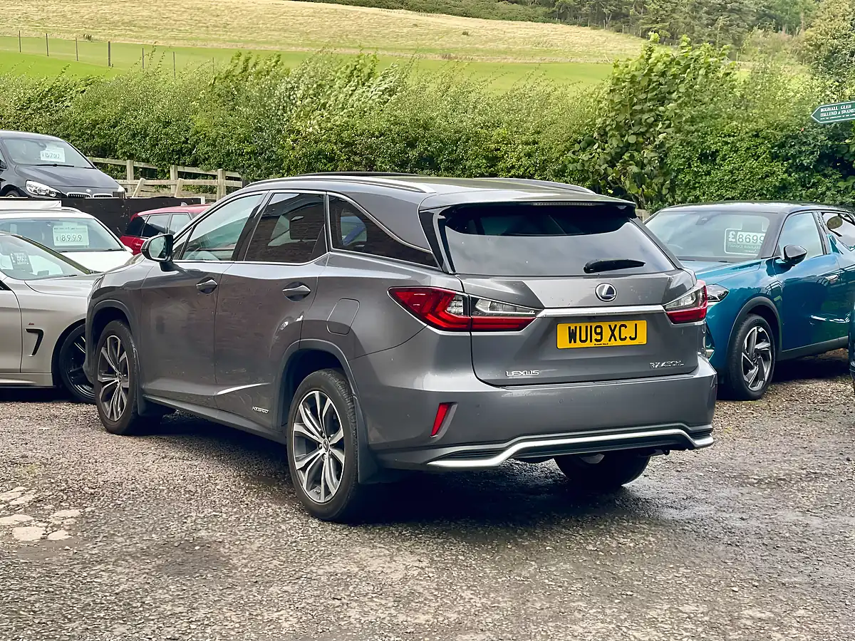 Used 2019 Lexus Rx L Grey - Interior and Exterior details 6