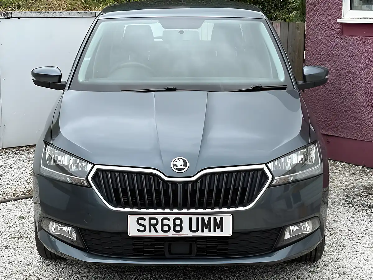 Used 2019 Skoda Fabia Se Grey - Interior and Exterior details 2