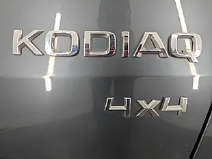 Used 2019 Skoda Kodiaq Sportline Meteor Grey - Interior and Exterior details 19