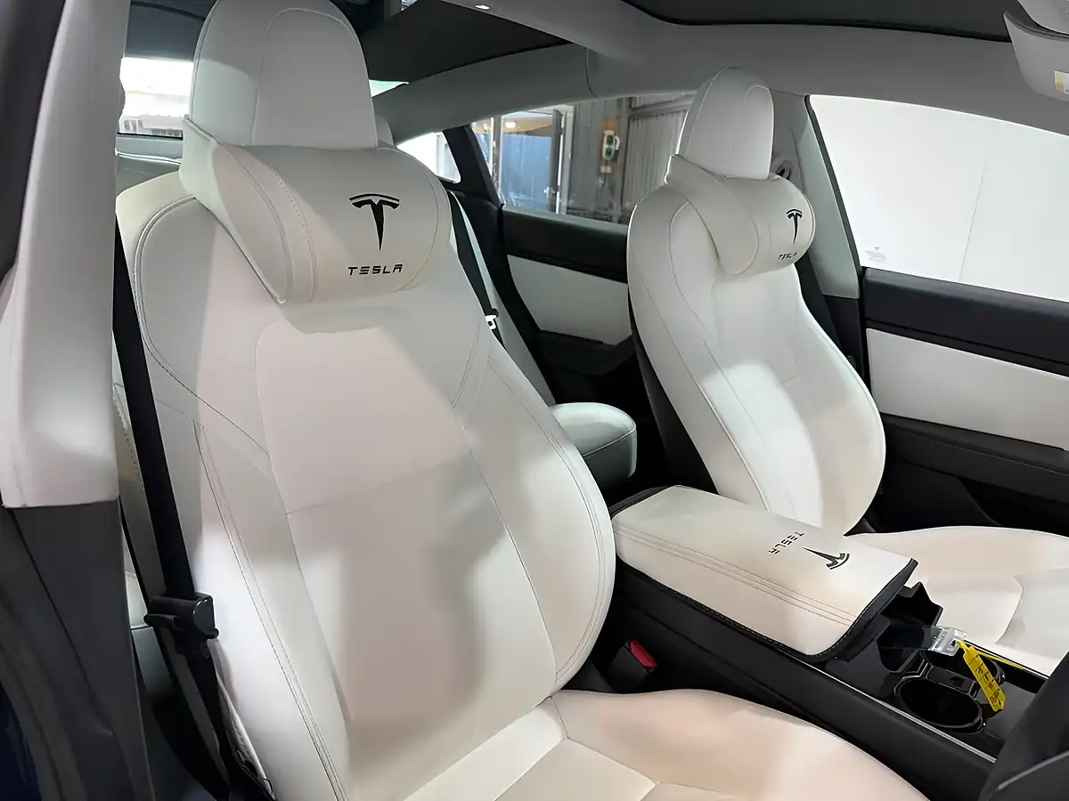Used 2019 Tesla Model 3 Standard Range Plus Blue - Interior and Exterior details 11