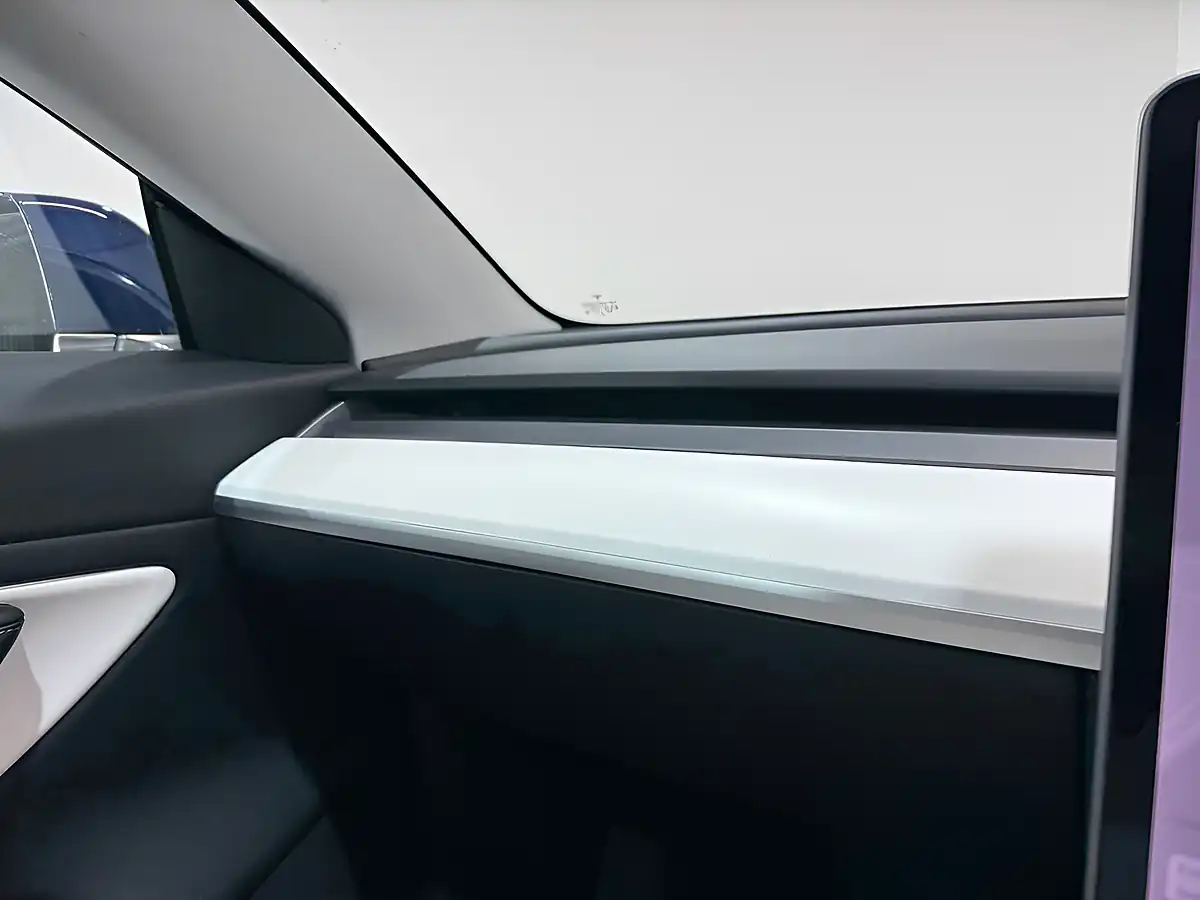 Used 2019 Tesla Model 3 Standard Range Plus Blue - Interior and Exterior details 16
