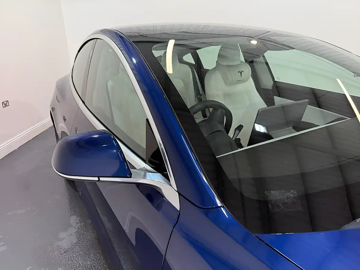 Used 2019 Tesla Model 3 Standard Range Plus Blue - Interior and Exterior details 6