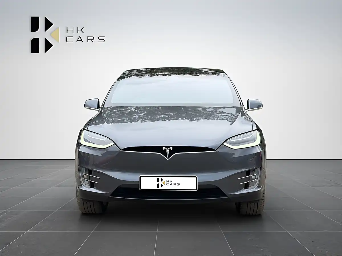 Used 2019 Tesla Model X 100D Grey - Interior and Exterior details 2