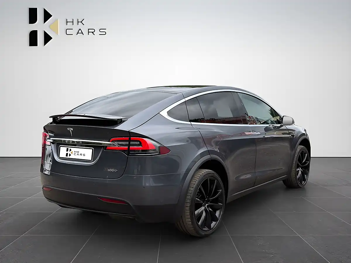 Used 2019 Tesla Model X 100D Grey - Interior and Exterior details 5