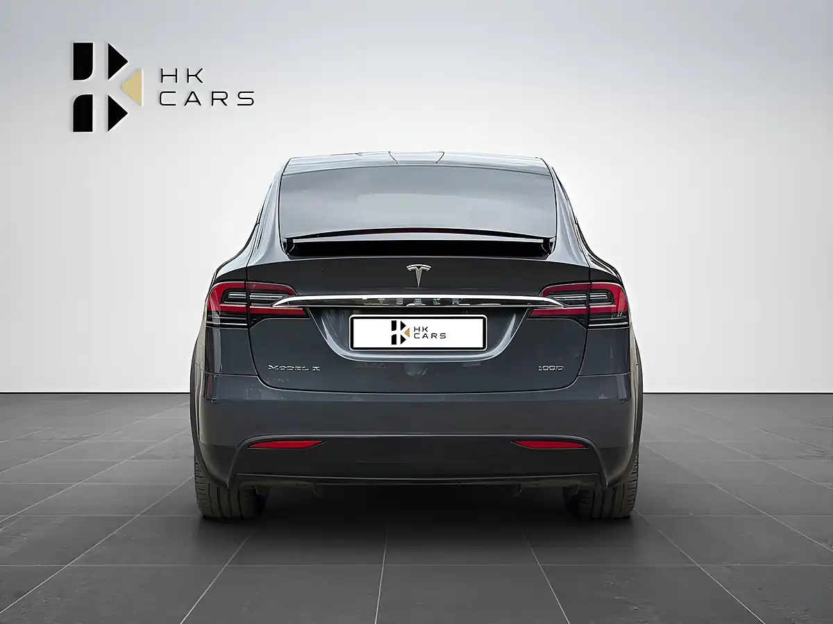 Used 2019 Tesla Model X 100D Grey - Interior and Exterior details 6