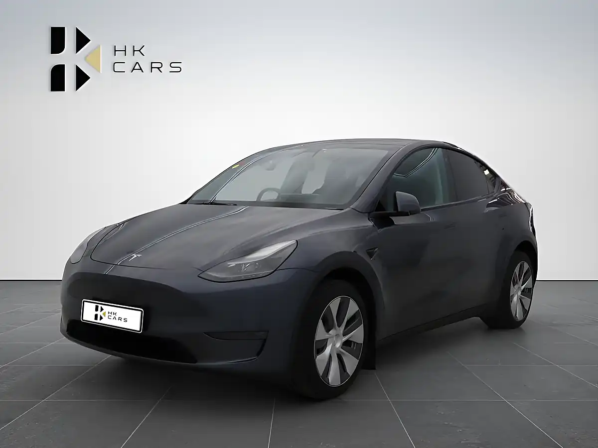 Used 2019 Tesla Model X 100D Grey - Interior and Exterior details 7