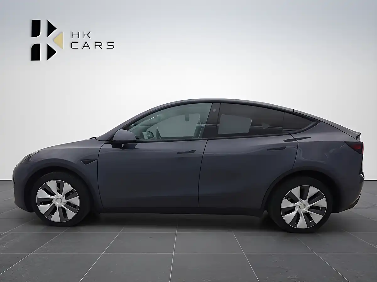Used 2019 Tesla Model X 100D Grey - Interior and Exterior details 9