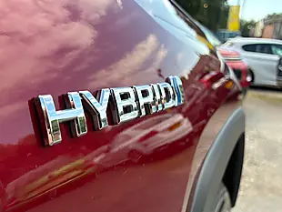 Used 2019 Toyota RAV4 Excel Red - Interior and Exterior details 8