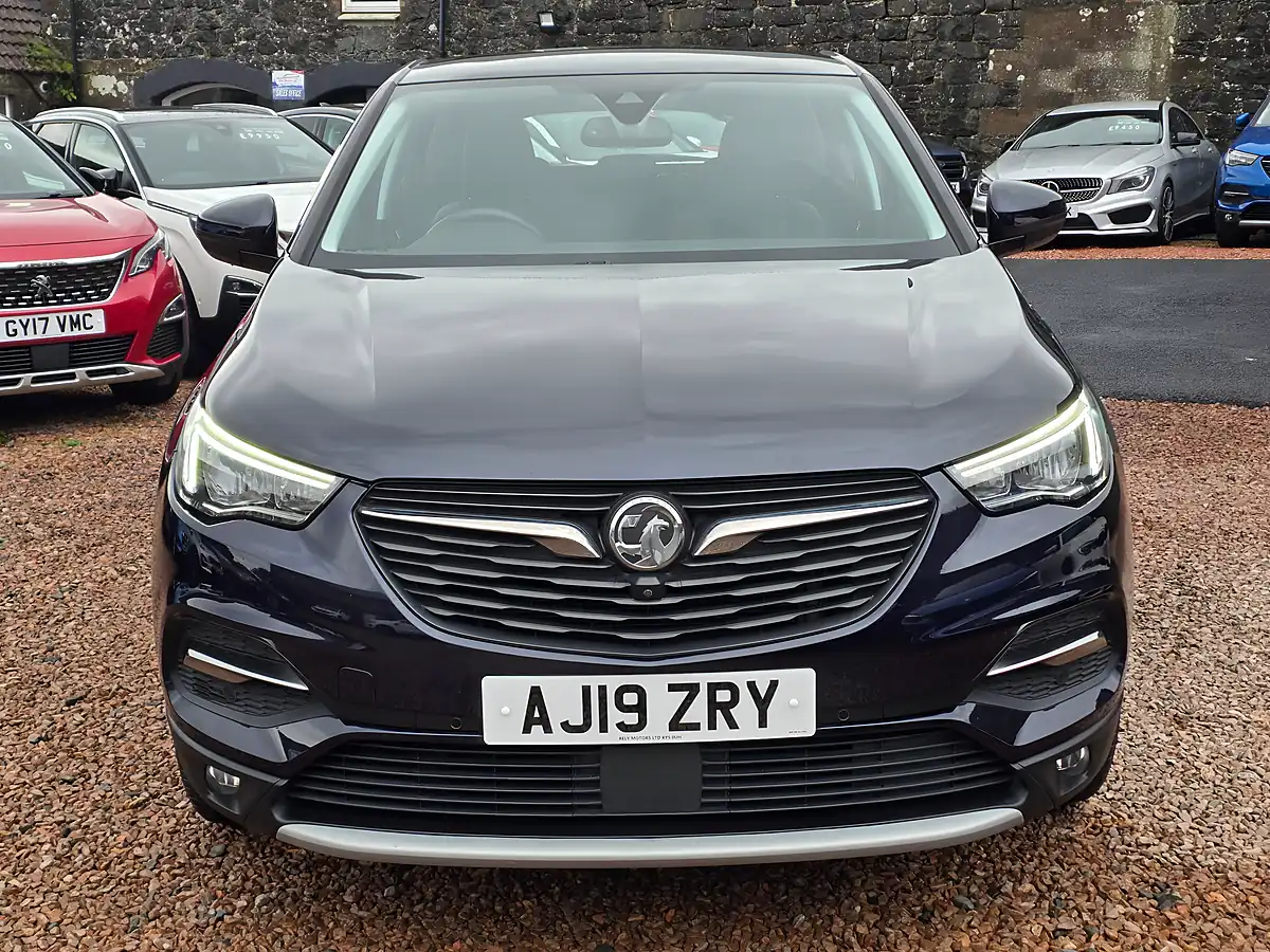 Used 2019 Vauxhall Grandland X Elite Nav Amethyst Purple Metallic - Interior and Exterior details 3