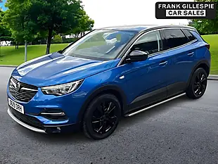 Used 2019 Vauxhall Grandland X Sport Nav Blue - Interior and Exterior details 3